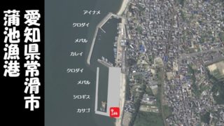 【根魚とクロダイ|常滑市】『蒲池漁港:かばいけぎょこう』の釣り場ガイド(駐車場・釣れる魚)
