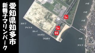 【ハゼやアナゴが人気|知多市】『新舞子マリンパーク』の釣り場ガイド(駐車場・釣れる魚)