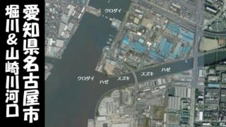 【名古屋|東築地小学校裏】『堀川&山崎川河口』の釣り場ガイド(駐車場・釣れる魚)