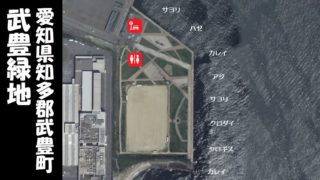 【魚種が豊富】『武豊緑地:たけとよりょくち』の釣り場情報(住所・駐車場・釣れる魚)