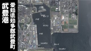 【ハゼとサヨリ】『武豊港:たけとよこう』の釣り場情報(住所・駐車場・釣れる魚)