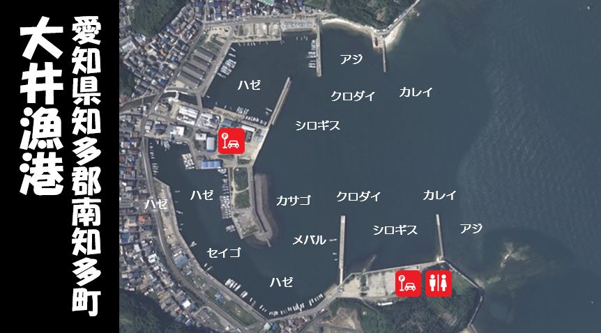 【豊富なターゲット｜南知多町】『大井漁港：おおいぎょこう』の釣り場情報（住所・駐車場・釣れる魚）