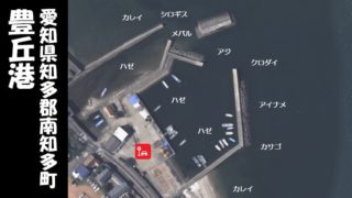 【クロダイが狙える|南知多町】『豊丘港:とよおかこう』の釣り場情報(住所・駐車場・釣れる魚)
