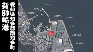 【クロダイのスポット|南知多町】『新師崎港:しんもろざきこう』の釣り場ガイド(駐車場・トイレ・釣れる魚)