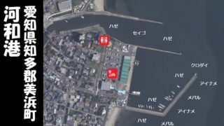 【ハゼの人気スポット|美浜町】『河和港:こうわこう』の釣り場情報(住所・駐車場・釣れる魚)