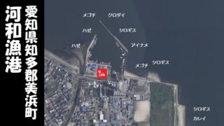 【根魚スポット|美浜町】『河和漁港:こうわぎょこう』の釣り場情報(住所・駐車場・釣れる魚)