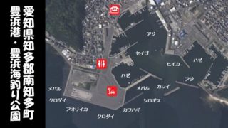 【完全攻略】『大人気!豊浜港&豊浜海釣り公園』の釣り場ガイド(駐車場・トイレ・釣れる魚)