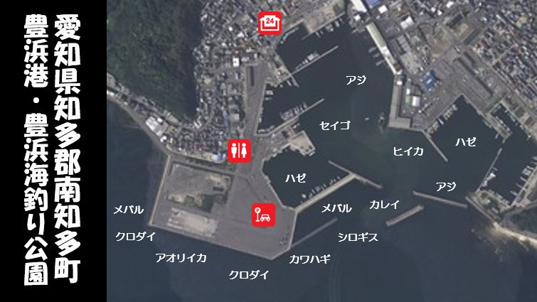 海 釣り 公園 豊浜