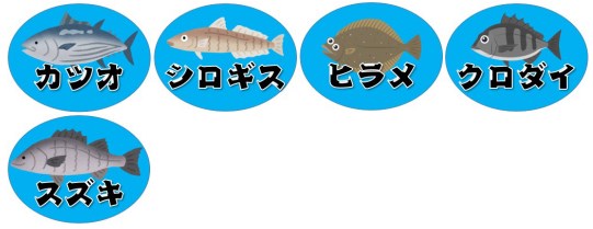 【富士市】『富士川河口・富士川緑地』の釣り場ガイド（釣れる魚・駐車場・トイレ）