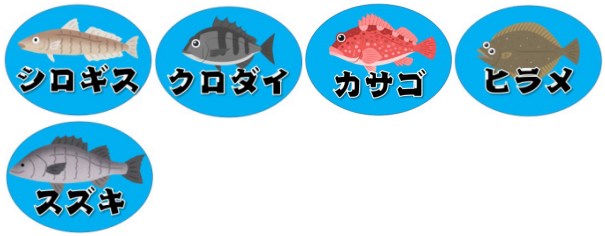 【清水区】『興津川河口・駿河健康ランド』周辺の釣り場ガイド（釣れる魚）