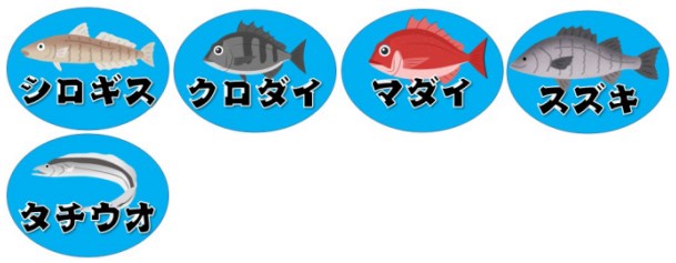 【清水区】『興津川河口・駿河健康ランド』周辺の釣り場ガイド（釣れる魚）