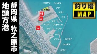 御前崎港 西埠頭 御前崎マリーナ 魚市場 砂利埠頭 の海釣りガイド 釣れる魚 駐車場 トイレ 東海釣りwalker