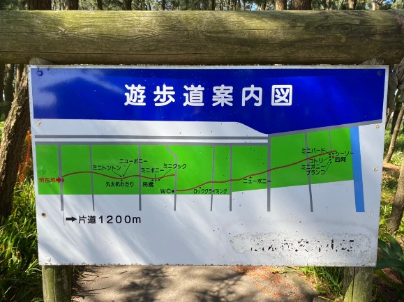 【焼津市】『高新田浜公園』の海釣りガイド（釣れる魚・駐車場・トイレ）