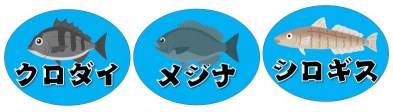 【焼津市】『高新田浜公園』の海釣りガイド（釣れる魚・駐車場・トイレ）