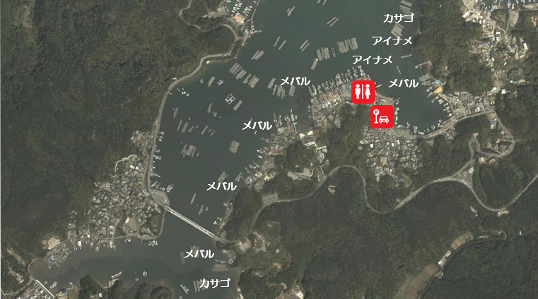 三重県鳥羽市 本浦湾 麻生の浦大橋 の海釣りガイド 釣れる魚 駐車場 トイレ 東海釣りwalker