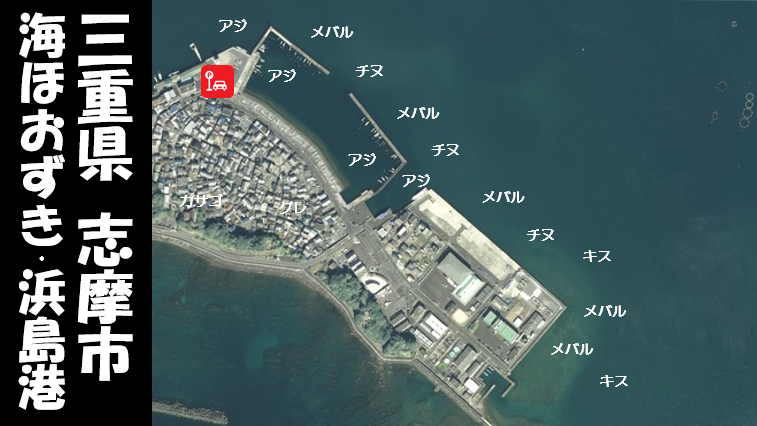 三重県志摩市 海ほおずき 浜島港周辺 の海釣りガイド 釣れる魚 駐車場 トイレ 東海釣りwalker