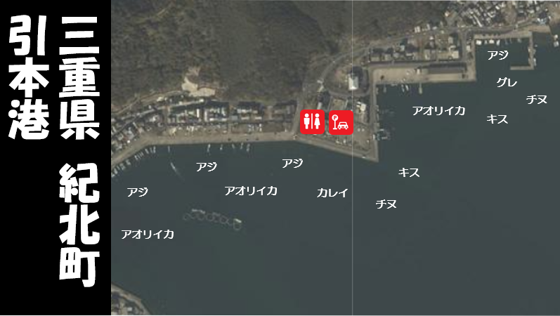 三重県紀北町 大人気 引本港 ひきもとこう の海釣りガイド 釣れる魚 駐車場 トイレ 東海釣りwalker