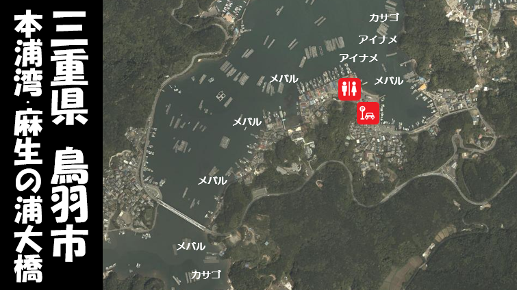 三重県鳥羽市 本浦湾 麻生の浦大橋 の海釣りガイド 釣れる魚 駐車場 トイレ 東海釣りwalker