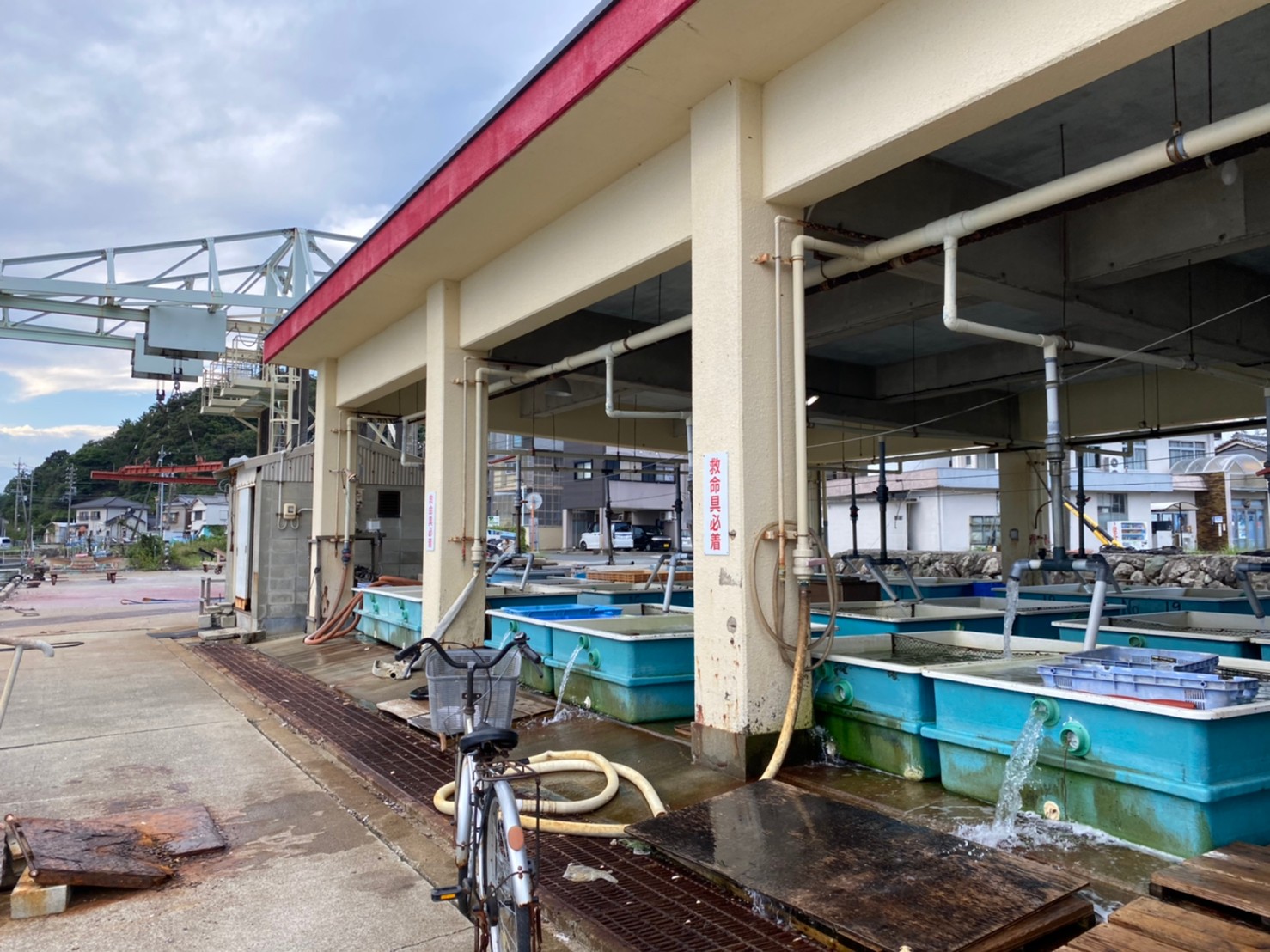 三重県鳥羽市 小浜漁港 の海釣りガイド 釣れる魚 駐車場 トイレ 東海釣りwalker