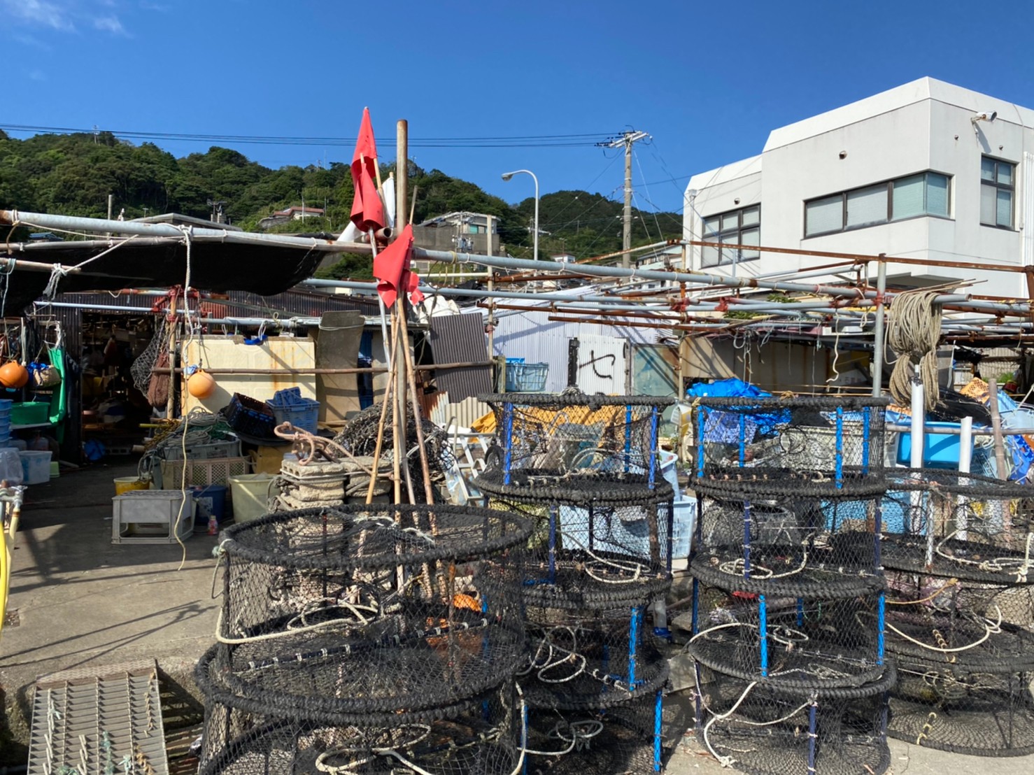 三重県鳥羽市 石鏡漁港 の海釣りガイド 釣れる魚 駐車場 トイレ 東海釣りwalker