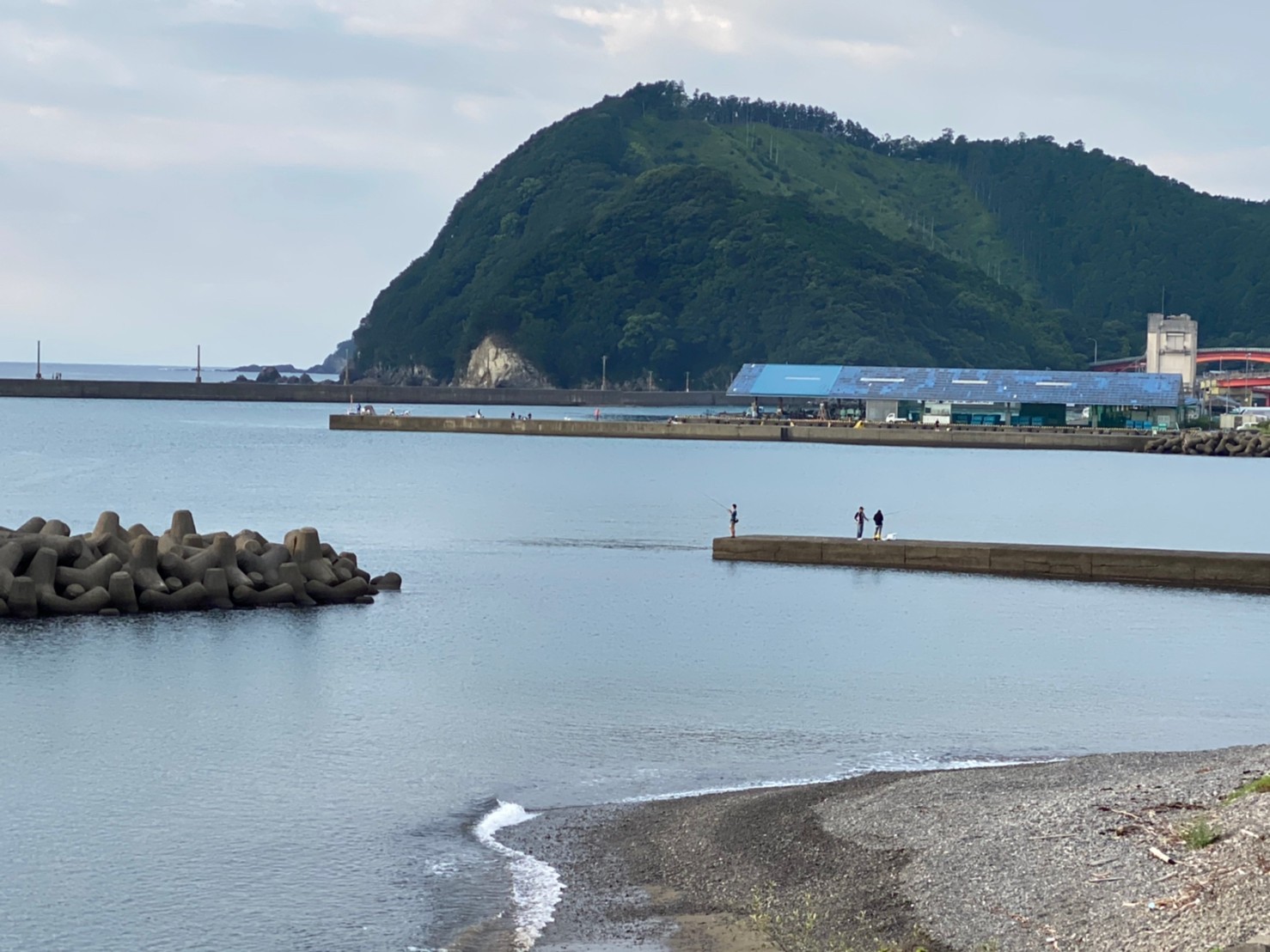 三重県紀北町 大人気 紀伊長島港 の海釣りガイド 釣れる魚 駐車場 トイレ 東海釣りwalker