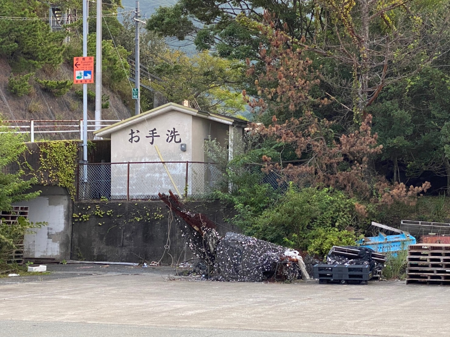 三重県大紀町 錦漁港 の海釣りガイド 釣れる魚 駐車場 トイレ 東海釣りwalker