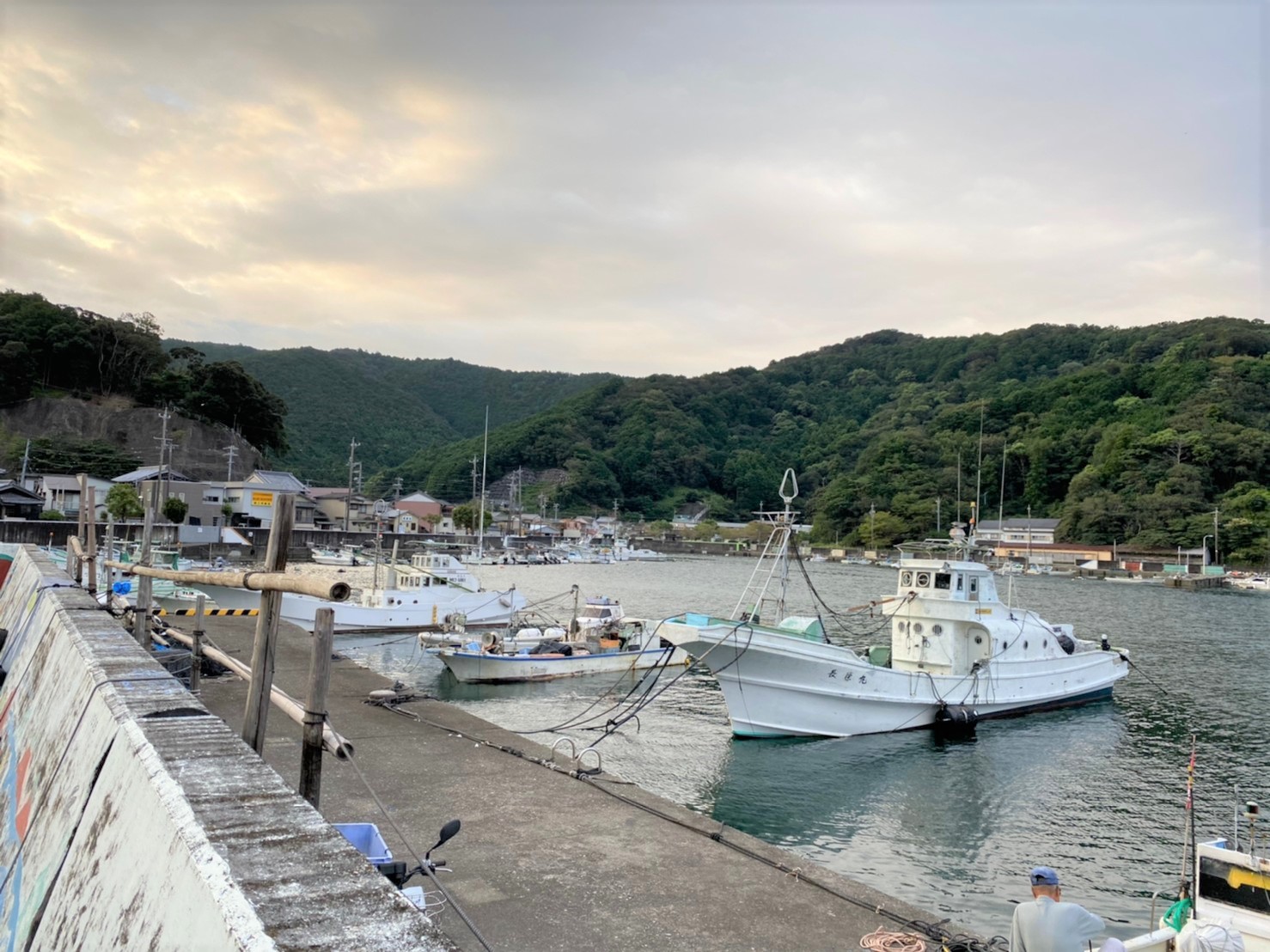 三重県大紀町 錦漁港 の海釣りガイド 釣れる魚 駐車場 トイレ 東海釣りwalker