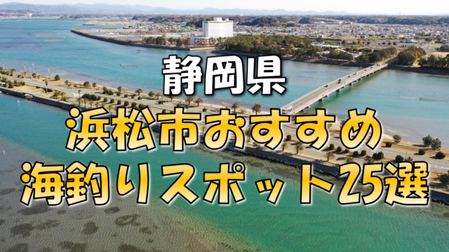 保存版 静岡県 静岡市 おすすめ海釣りスポット14選 東海釣りwalker