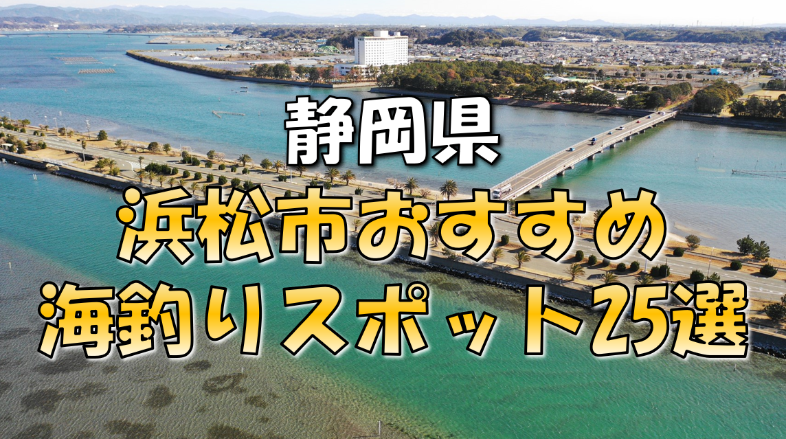 保存版 静岡県 浜松市 おすすめ海釣りスポット25選 東海釣りwalker