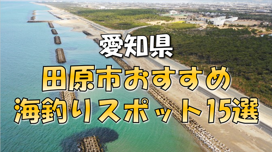 保存版 愛知県 田原市 おすすめ海釣りスポット15選 東海釣りwalker