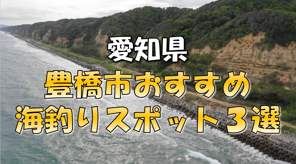 保存版 愛知県 豊橋市 おすすめ海釣りスポット3選 東海釣りwalker